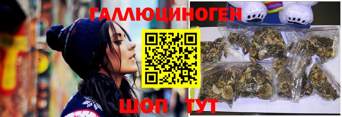 Галлюциногенные грибы Psilocybine cubensis  Вход с VPN  даркнет сайт  Реутов 